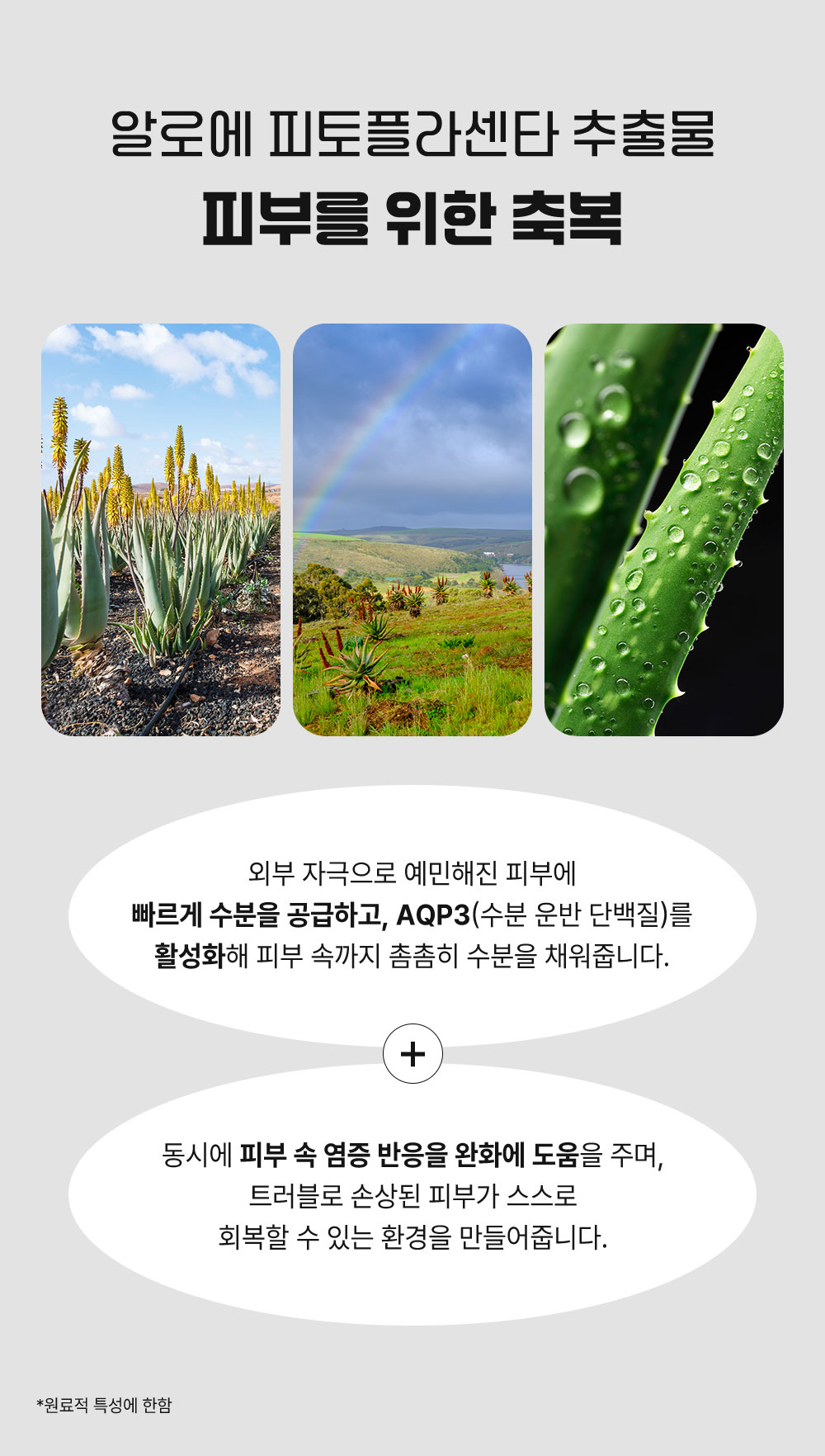 센텔라 레스큐 스팟 앰플 상세 안내 7