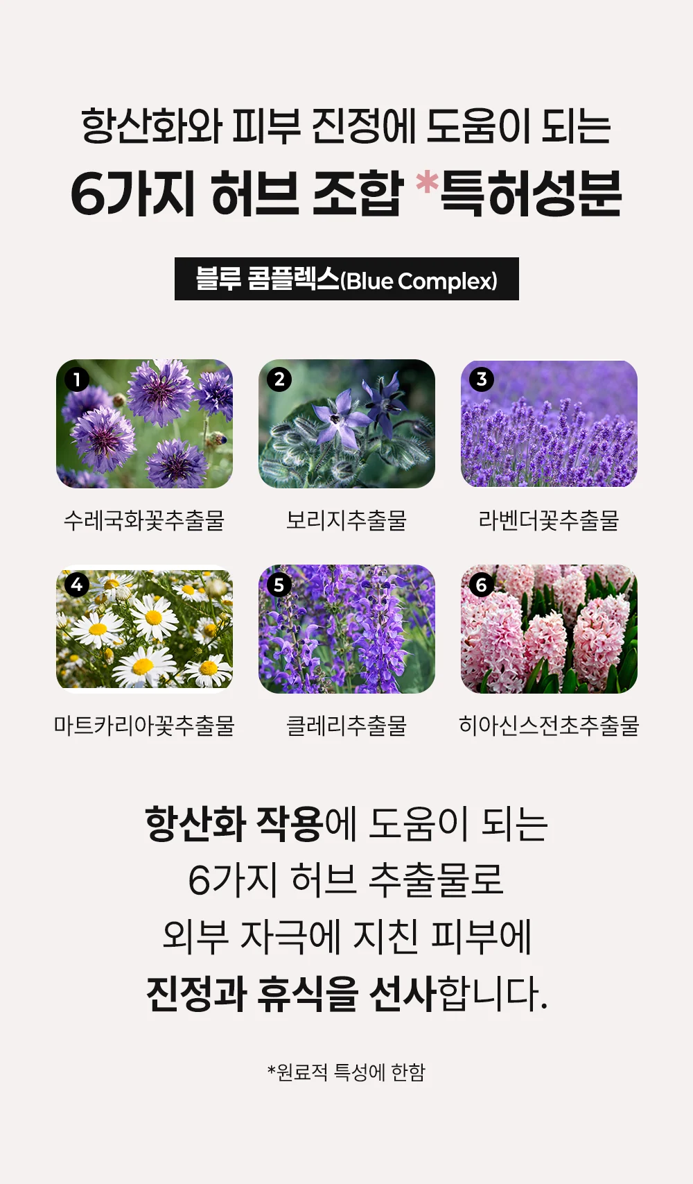 리바이브 테라피 N.F 앰플 상세 안내 7