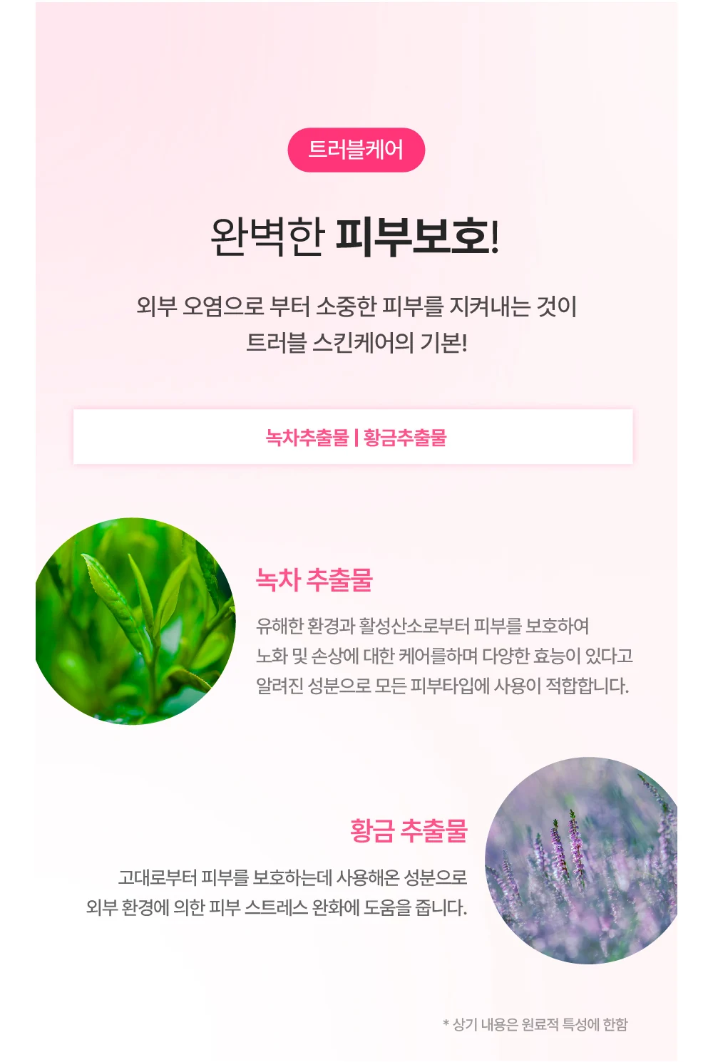 리바이브 테라피 N.F 토너 상세 안내 13